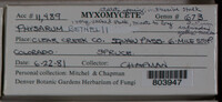 Image Associated With the Occurence